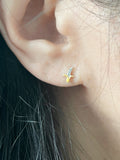 pineapple piercing | banana piercing | cherry piercings | orange piercing